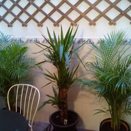 Apartament Principe Real Charming 1br,ba Private Courtyard