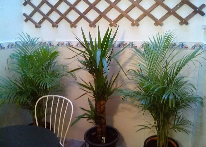 Apartament Principe Real Charming 1br,ba Private Courtyard